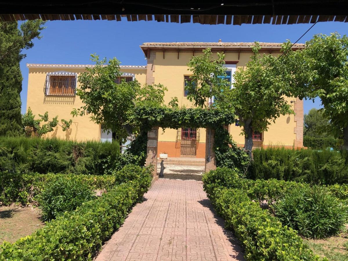 Casa Rural Finca Juanamare Yecla Eksteriør billede